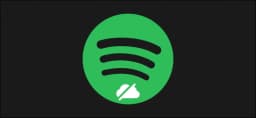 Spotify offline